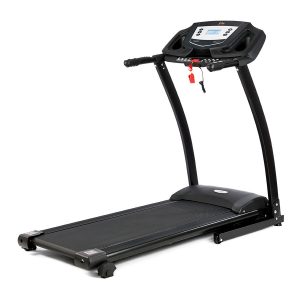 188639_pt141_treadmill_-_diagonal