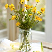 bring spring into your home, MySmallSpace UK