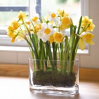 bring spring into your home, MySmallSpace UK