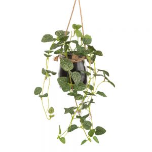 green-artificial-plant-in-hanging-glass-pot-1000-2-36-195196_1