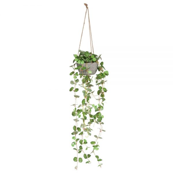 hanging-artificial-plant-1000-13-11-167004_1