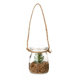mini-artificial-plant-in-hanging-glass-pot-1000-11-5-204759_1