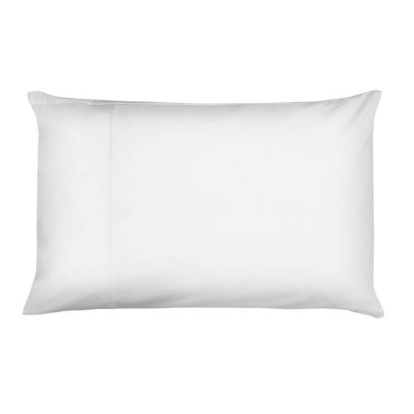 Pillow_Cutout_1024_Px_e3b190a3-5eb0-4e62-9630-e0d74c4dfe10