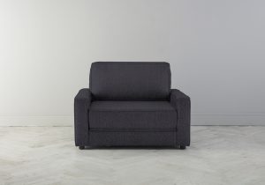 pp2002570-violet-leaf