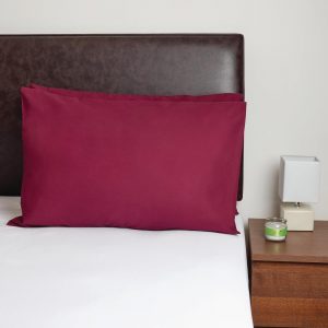 dt719_raisin