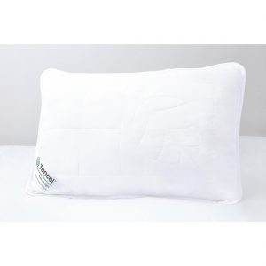 gu464_gu465-pillow