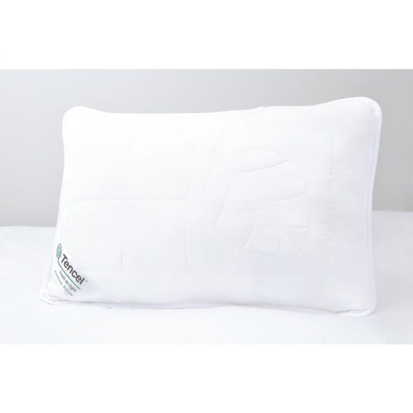 gu464_gu465-pillow