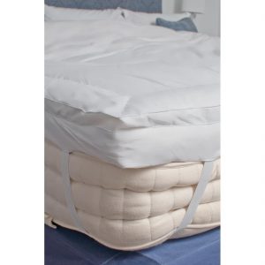 gu478_gu482-ascot