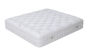 novo-1000-full-right-2019