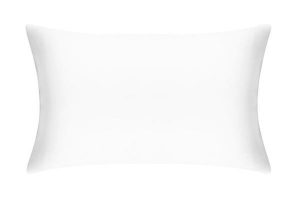 BrilliantWhite-Pillow-SKG_734dd434-dca7-4bb1-bdfb-c159e536aff1_grande