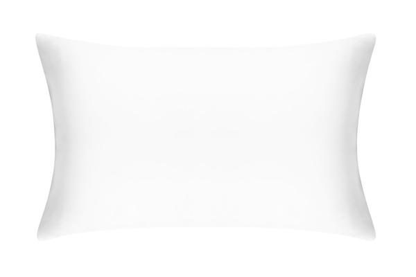 BrilliantWhite-Pillow-SKG_734dd434-dca7-4bb1-bdfb-c159e536aff1_grande