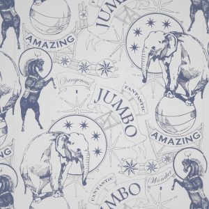 Dan_Heath_-amazing-jumbo_COLBALT