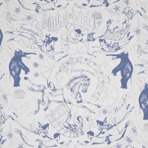 Dan_Heath_HighWire_detail_COBALT