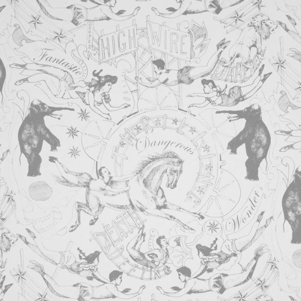 Dan_Heath_HighWire_detail_GRAY