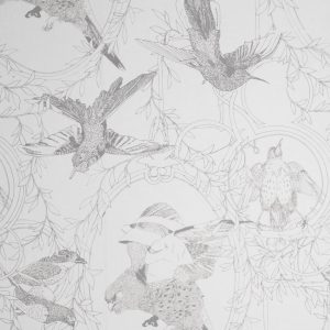 Dan_Heath_taxidermy-birds_GRAY