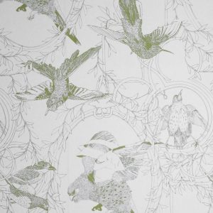 Dan_Heath_taxidermy-birds_OLIVE