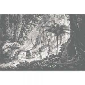 Feathr-Amazonia-mono-fullmural-forWeb
