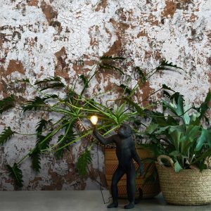 Feathr-Safari-Bronze-Lifestyle-for-Web