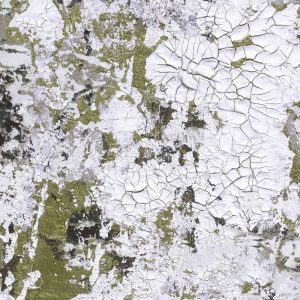 Feathr-Safari-Patinated-Closeup-for-Web