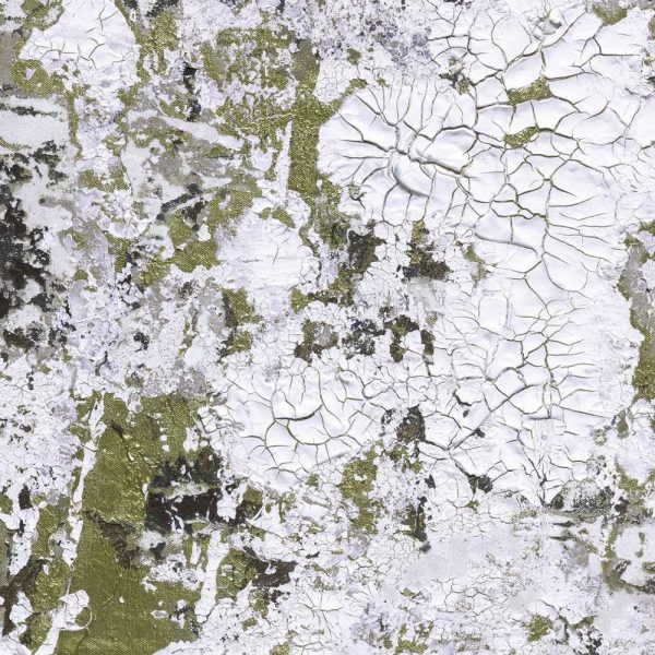 Feathr-Safari-Patinated-Closeup-for-Web