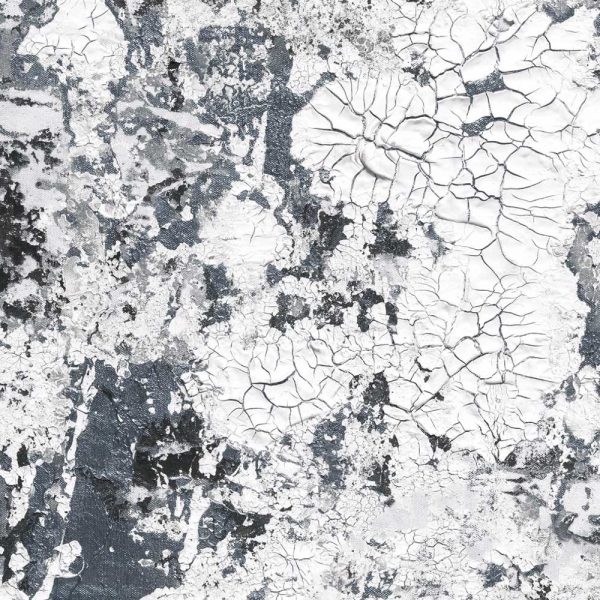 Feathr-Safari-Steel-Closeup-for-Web