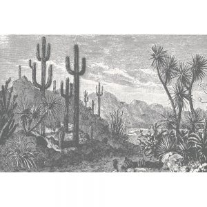 Feathr-TheOasis-Monochrome-fullmural-forWeb