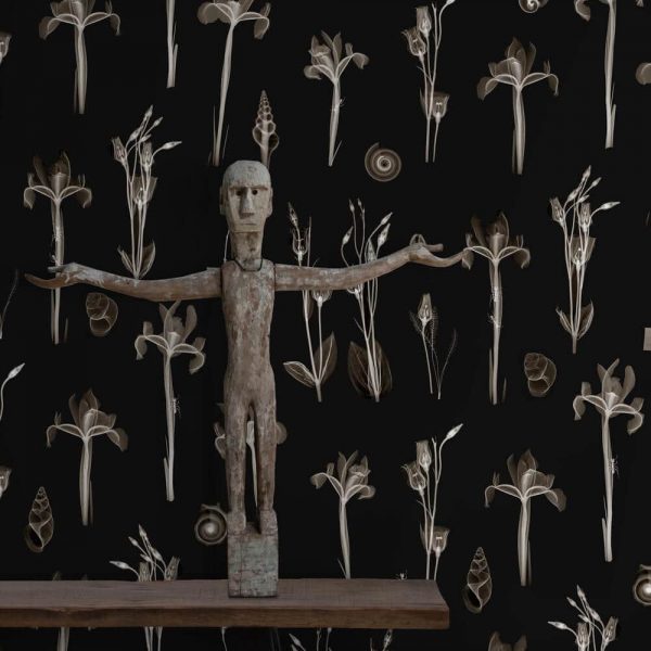 Feathr-XRayBotanics1-Night-Wallpaper-CuriousEgg