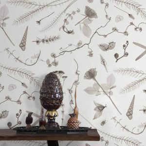 Feathr-XRayBotanics2-Cream-Wallpaper-CuriousEgg