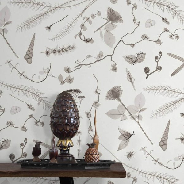 Feathr-XRayBotanics2-Cream-Wallpaper-CuriousEgg