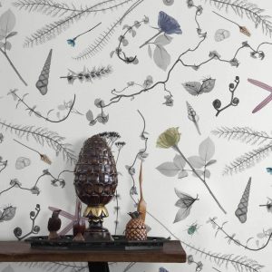 Feathr-XRayBotanics2-Spring-Wallpaper-CuriousEgg