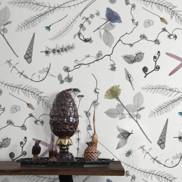 Feathr-XRayBotanics2-Spring-Wallpaper-CuriousEgg