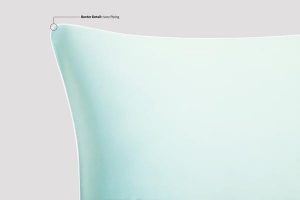 Teal-Piping-Detail-final2_aab55f04-5e11-40c7-94f1-c95914da2fe9_grande