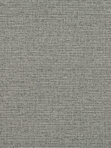 237023339