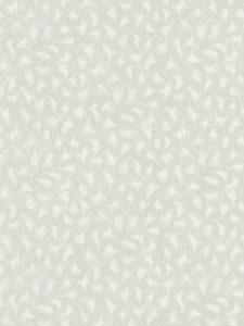 237023353