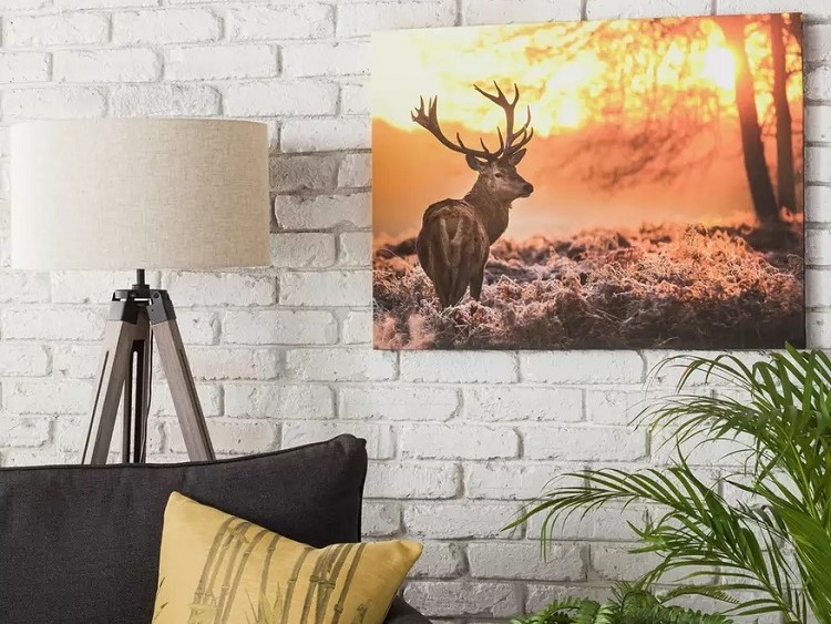 Show your Love For Nature With Wall art