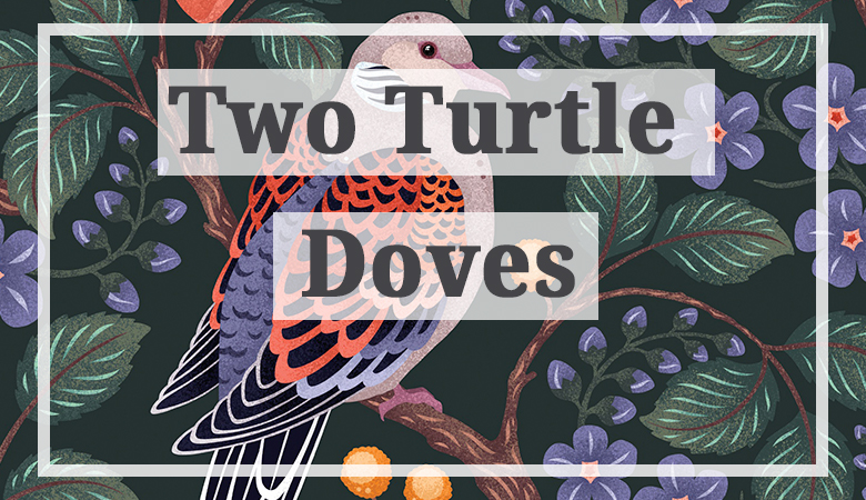 Two turtle doves overview