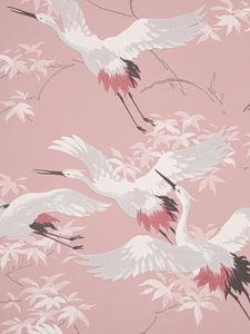 TRYRF_SQ1_0000000063_PINK_SLf