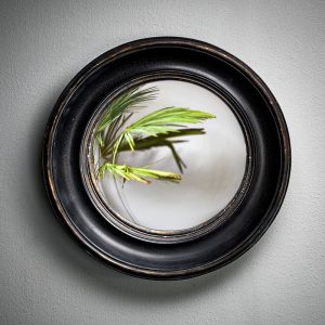 cdw2979-small-round-convex-mirror