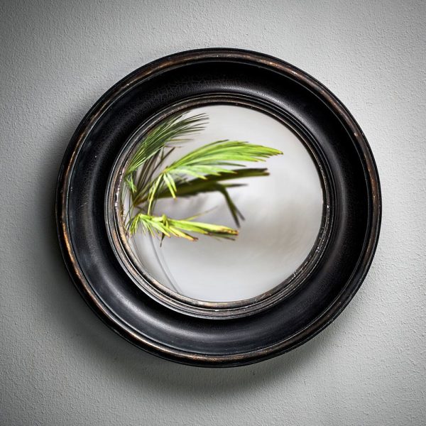 cdw2979-small-round-convex-mirror