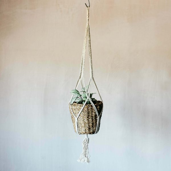cja1005-seagrass-hanging-planter_1