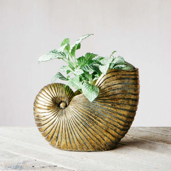 klc1011_gold-shell-planter_01