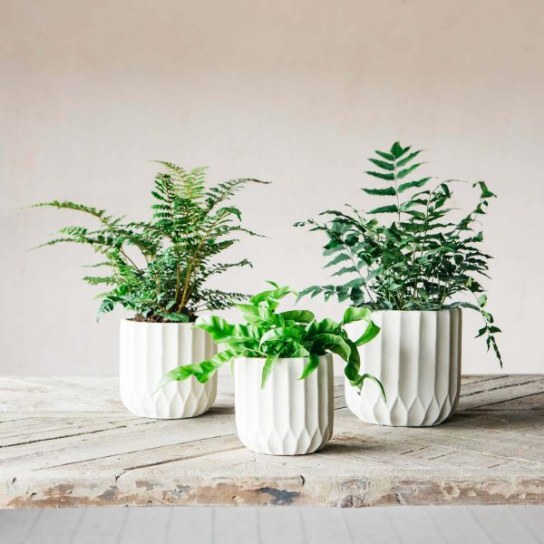 pva1013-pva1014-pva1015-ivory-ribbed-cement-planters