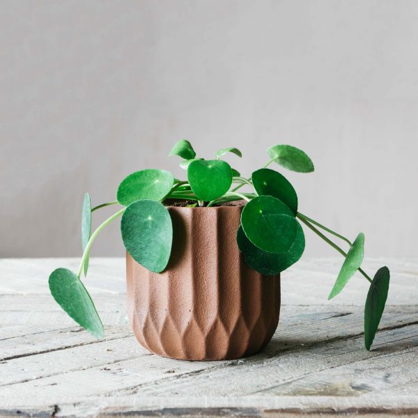 pva1017-brown-ribbed-cement-planter-m