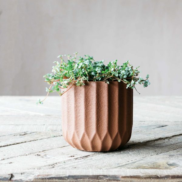 pva1018-brown-ribbed-cement-planter-s