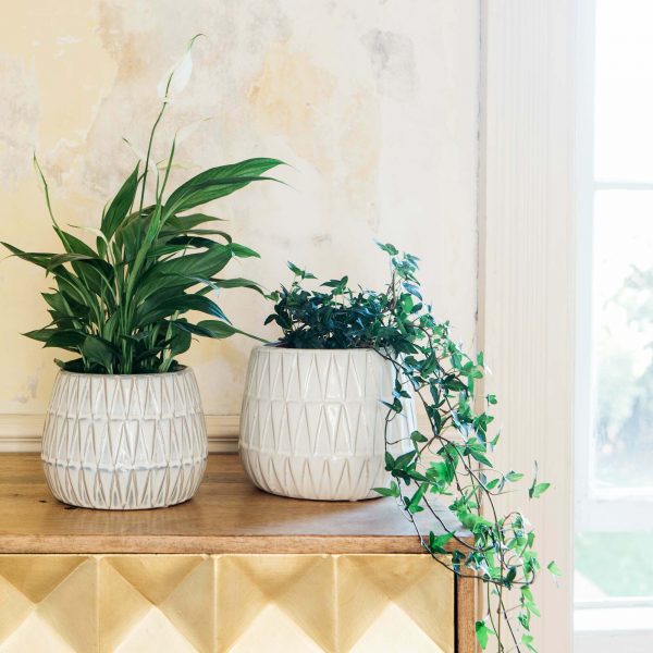 pva1019-triangle-glazed-planter-large-pva1020-triangle-glazed-planter-med