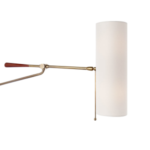 208371-frankfort-wall-light-in-antique-brass-and-mahoganey-accents