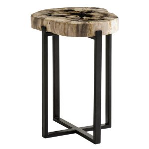 235816-petrified-wood-lamp-table