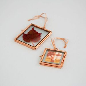 Alia-Glass-Frames-Copper-LR