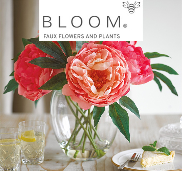 Bloom.com - Featured image