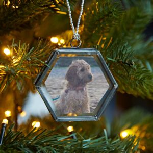 Christmas-Alia-Hexagonal-Glass-Frame-Antique-Silver-NHFAS-LR